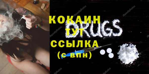 PSILOCYBIN Аркадак