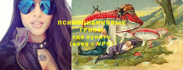 PSILOCYBIN Аркадак