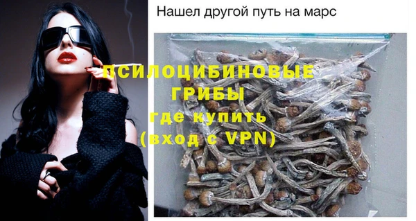 PSILOCYBIN Аркадак