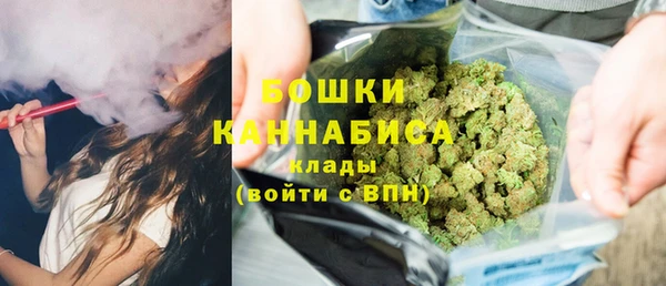 PSILOCYBIN Аркадак