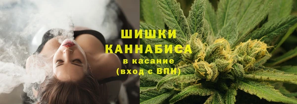 PSILOCYBIN Аркадак