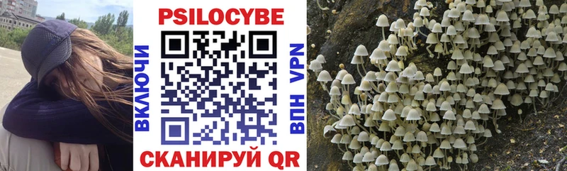 Псилоцибиновые грибы MAGIC MUSHROOMS  Новый Оскол 